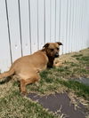 Mabel *LOCAL* MEET ME!
