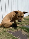 Mabel *LOCAL* MEET ME!