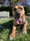 Mabel *LOCAL* MEET ME!