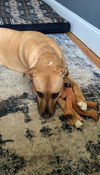 Mabel *LOCAL* MEET ME!