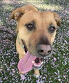 Mabel *LOCAL* MEET ME!