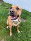 Mabel *LOCAL* MEET ME!