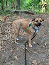 Mabel *LOCAL* MEET ME!