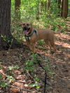 Mabel *LOCAL* MEET ME!