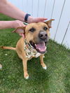 Mabel *LOCAL* MEET ME!