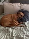 Mabel *LOCAL* MEET ME!