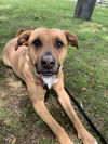 Mabel *LOCAL* MEET ME!
