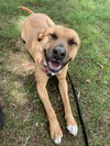 Mabel *LOCAL* MEET ME!