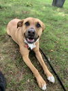 Mabel *LOCAL* MEET ME!