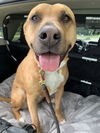 Mabel *LOCAL* MEET ME!