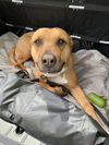 Mabel *LOCAL* MEET ME!