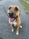 Mabel *LOCAL* MEET ME!