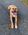 Mabel *LOCAL* MEET ME!