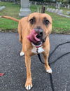 Mabel *LOCAL* MEET ME!
