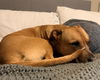 Mabel *LOCAL* MEET ME!