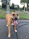 Mabel *LOCAL* MEET ME!