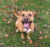Mabel *LOCAL* MEET ME!