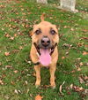 Mabel *LOCAL* MEET ME!