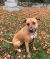 Mabel *LOCAL* MEET ME!