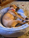 Mabel *LOCAL* MEET ME!