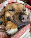 Mabel *LOCAL* MEET ME!