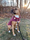 Mabel *LOCAL* MEET ME!
