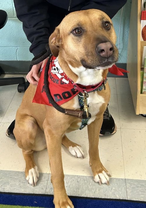 Mabel *LOCAL* MEET ME!