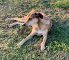 Kutta *LOCAL*