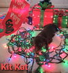 Kit Kat Nestle