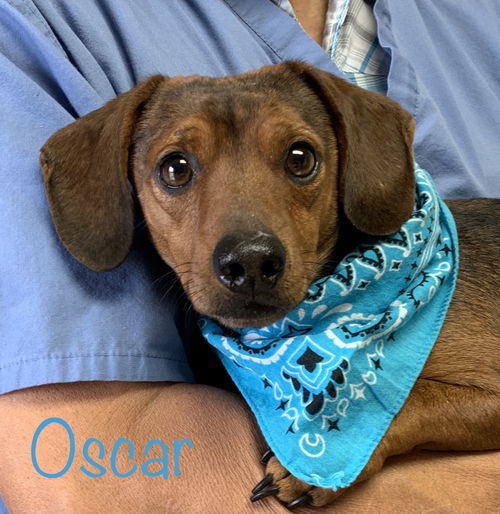 Oscar