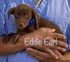 Eddie Earl Porch *LOCAL*