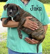 Jake DirtyDozen *LOCAL*