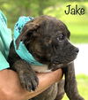 Jake DirtyDozen *LOCAL*