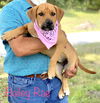 Bailey Rae