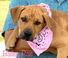Bailey Rae