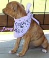 Laney Highway *LOCAL*