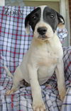 Zoey SouthernCharm *LOCAL*