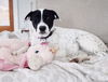 Zoey SouthernCharm *LOCAL*