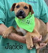 Jackie Ditty *LOCAL*