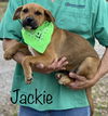 Jackie Ditty *LOCAL*