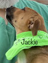 Jackie Ditty *LOCAL*