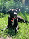 Montana Shirley *LOCAL* MEET ME!