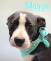 Maggie Shirley *LOCAL* MEET ME!