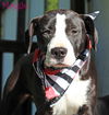 Maggie Shirley *LOCAL* MEET ME!