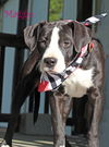 Maggie Shirley *LOCAL* MEET ME!