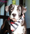 Maggie Shirley *LOCAL* MEET ME!