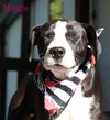 Maggie Shirley *LOCAL* MEET ME!
