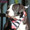 Maggie Shirley *LOCAL* MEET ME!