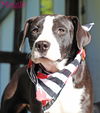Maggie Shirley *LOCAL* MEET ME!