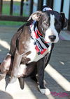 Maggie Shirley *LOCAL* MEET ME!